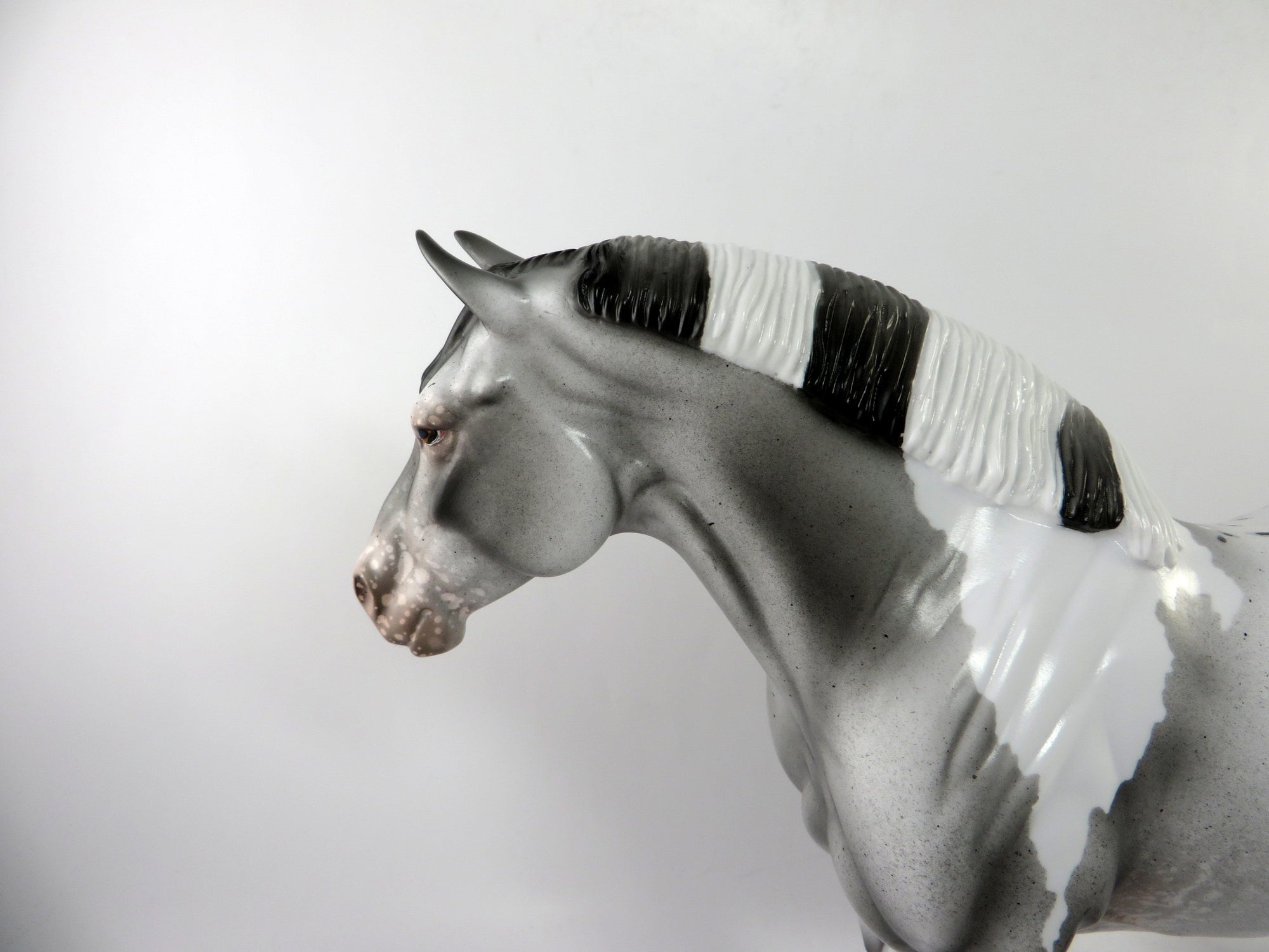 KIT-KAT-OOAK PINTALOOSA HEAVY DRAFT MARE BY AUDREY DIXON 1/4/19