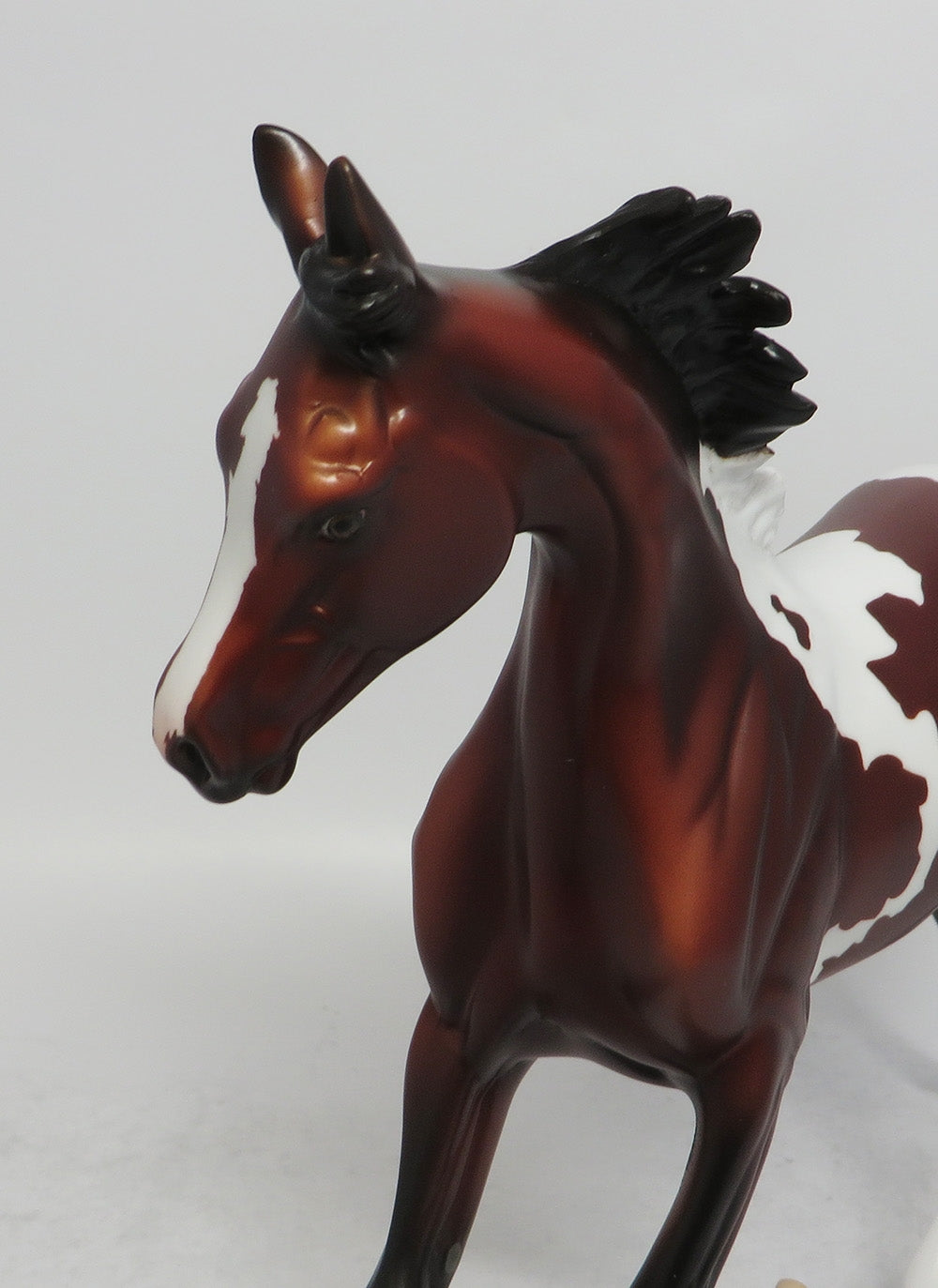 MIGO - LE4 DAPPLE BAY PINTO YEARLING MODEL HORSE SHCF2018