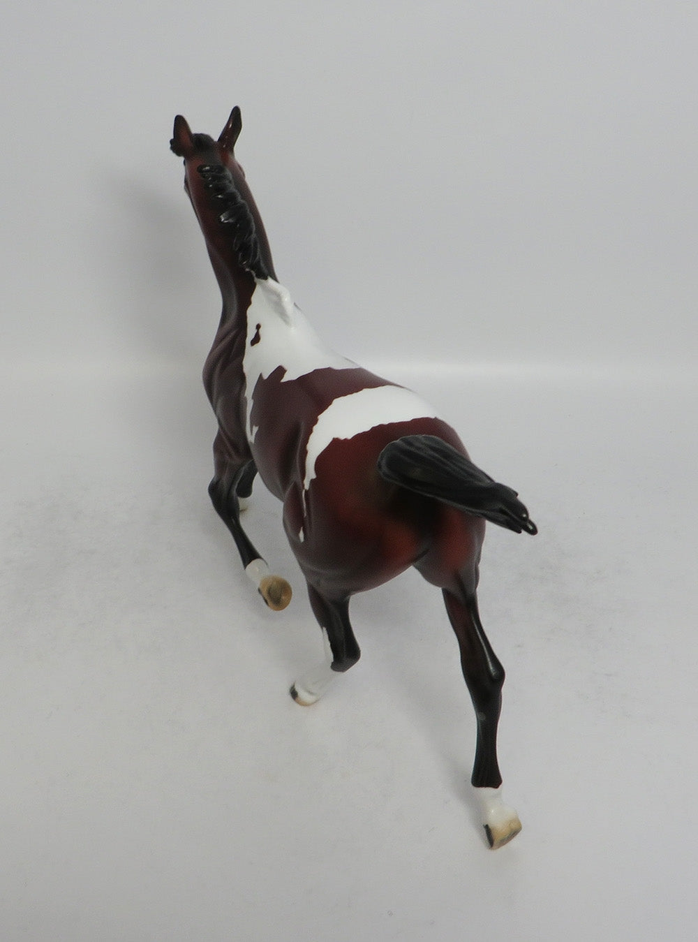 MIGO - LE4 DAPPLE BAY PINTO YEARLING MODEL HORSE SHCF2018