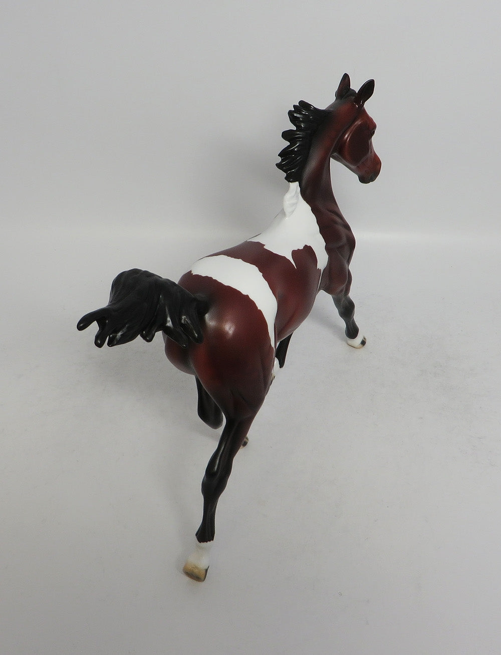 MIGO - LE4 DAPPLE BAY PINTO YEARLING MODEL HORSE SHCF2018