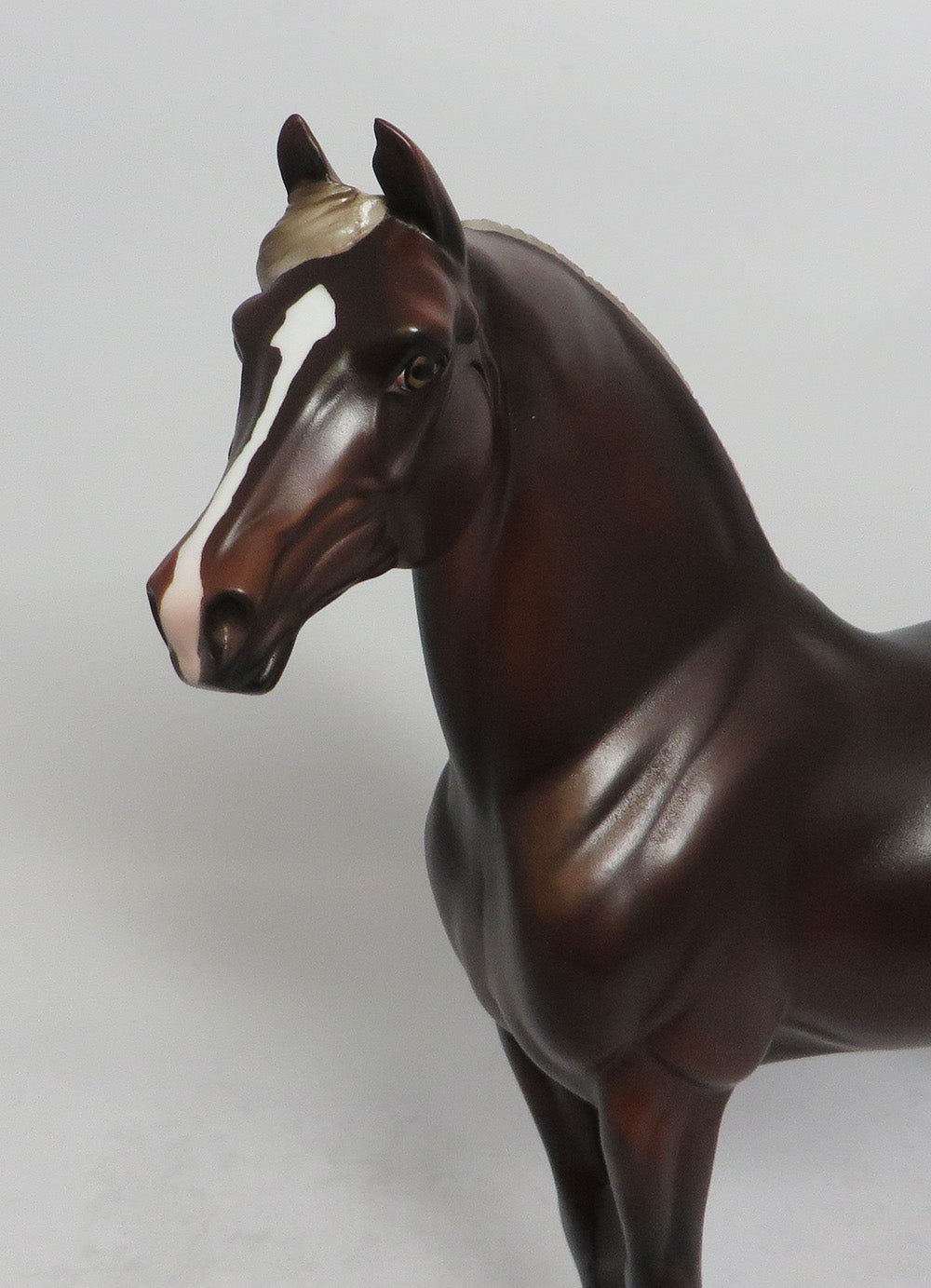 ALFIE - LE4 LIVER CHESTNUT MORGAN MODEL HORSE SHCF2018