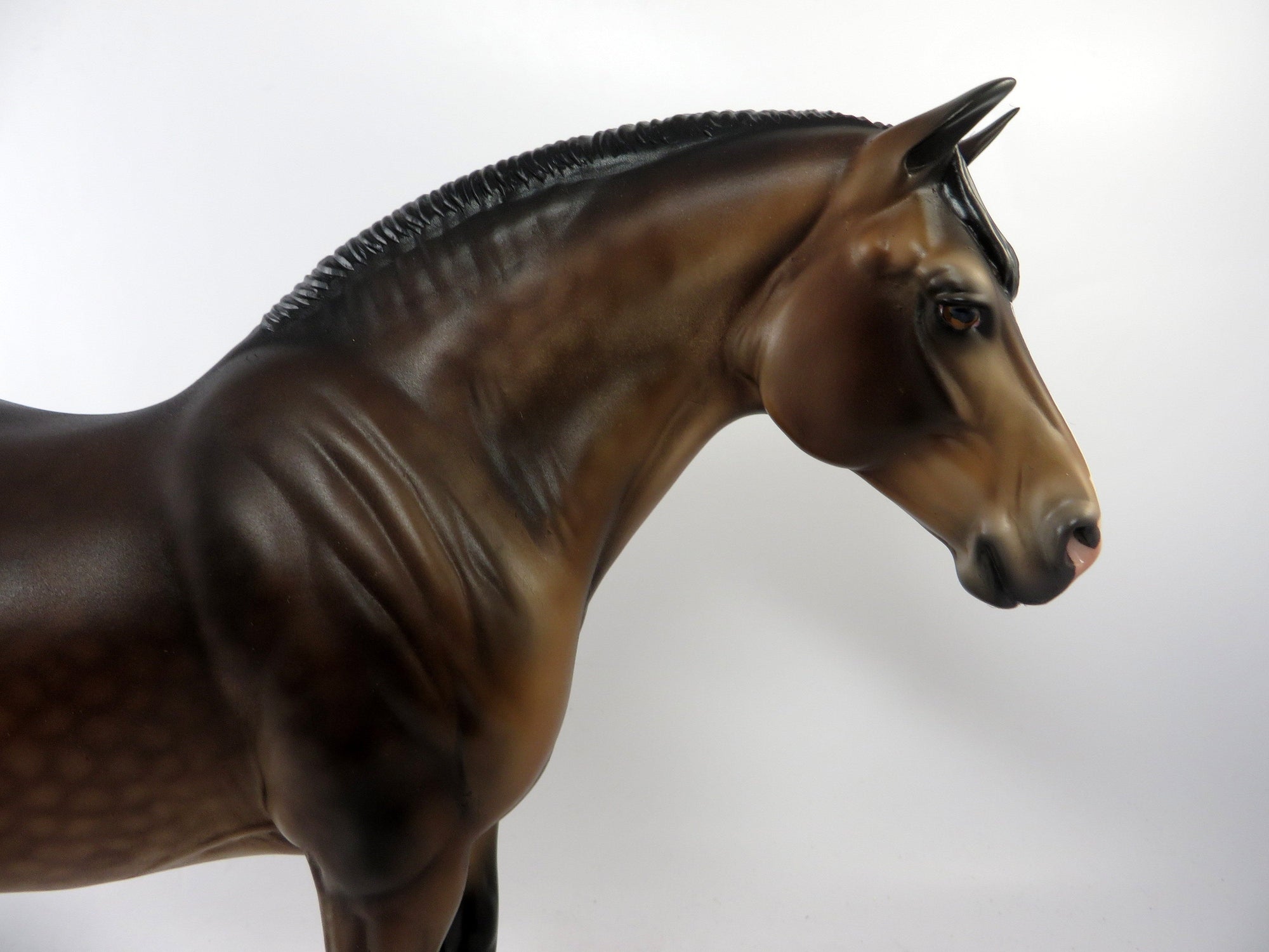 SUGAR- OOAK SOOTY BUCKSKIN DAPPLE BY AUDREY DIXON 1-4-19