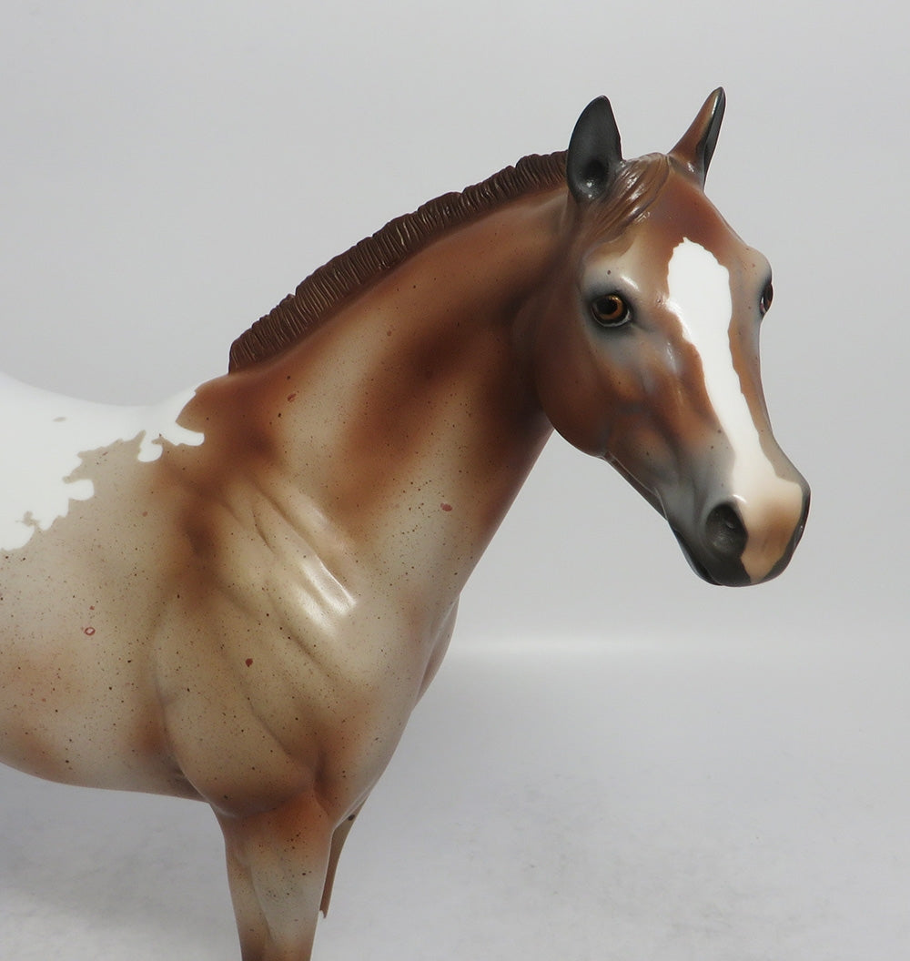 CACTUS - LE3 CHESTNUT ROAN APPALOOSA ISH MODEL HORSE