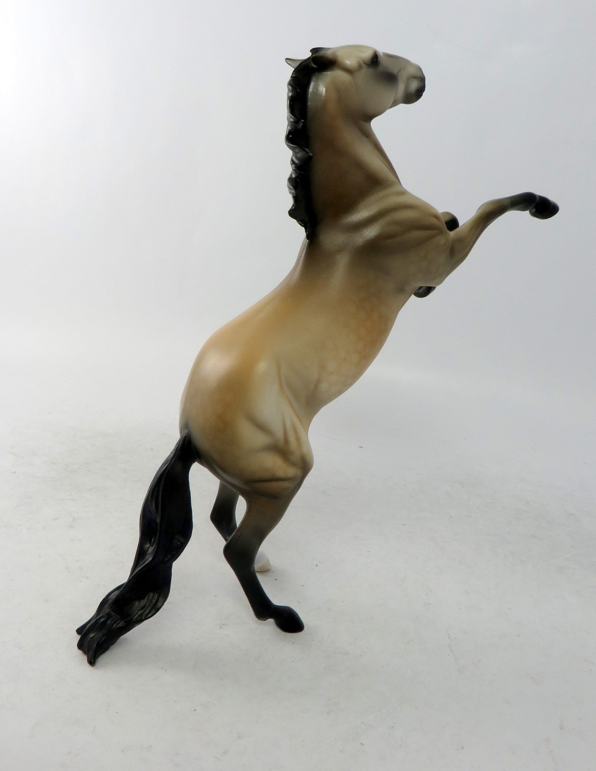 CINCH-LE-30 DAPPLE BUCKSKIN REARING PEBBLE