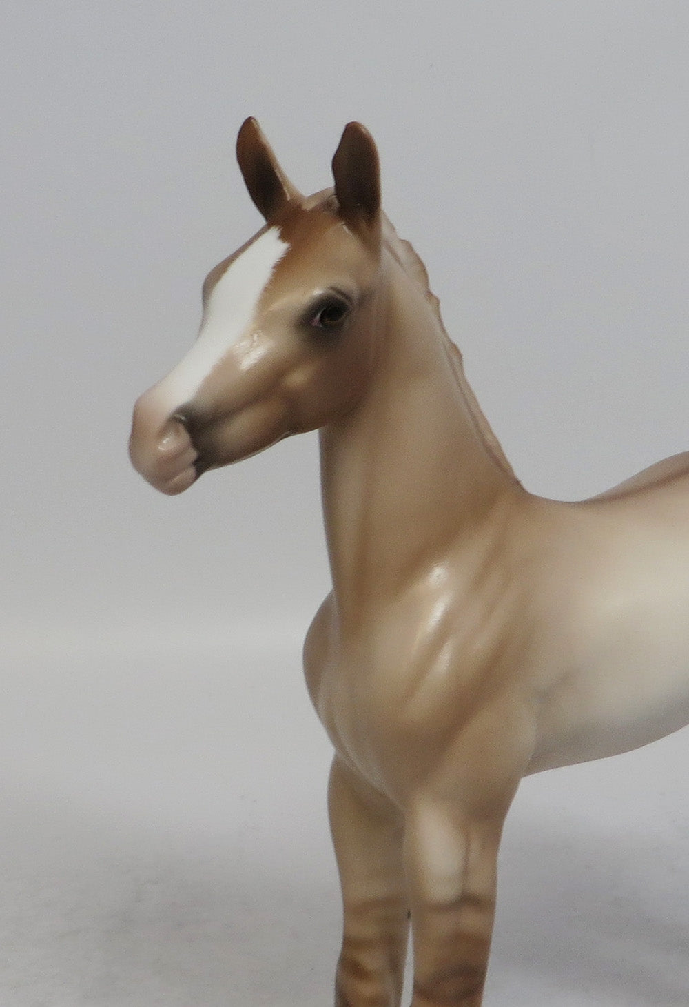 FARMERS DAUGHTER - OOAK DUN FOAL MODEL HORSE BY SHERYL LEISURE SHCF2018