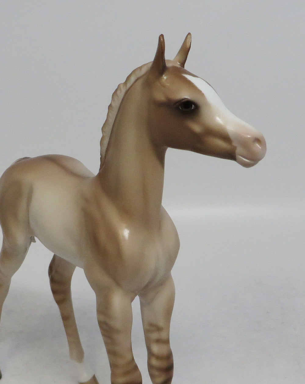 FARMERS DAUGHTER - OOAK DUN FOAL MODEL HORSE BY SHERYL LEISURE SHCF2018