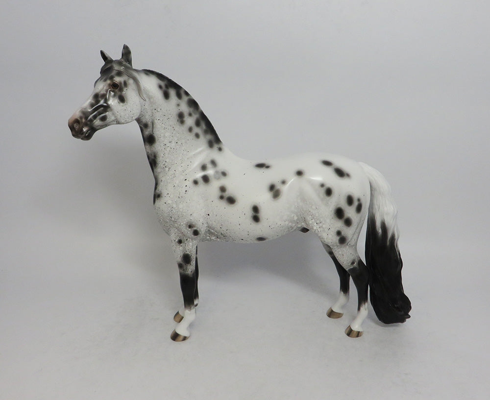 OKLAHOMA HELLO - OOAK BLACK APPALOOSA MORGAN MODEL HORSE BY SHERYL LEISURE SHCF2018