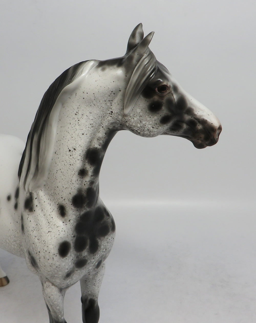OKLAHOMA HELLO - OOAK BLACK APPALOOSA MORGAN MODEL HORSE BY SHERYL LEISURE SHCF2018