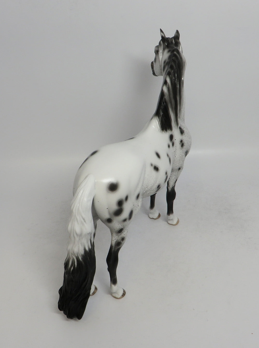 OKLAHOMA HELLO - OOAK BLACK APPALOOSA MORGAN MODEL HORSE BY SHERYL LEISURE SHCF2018
