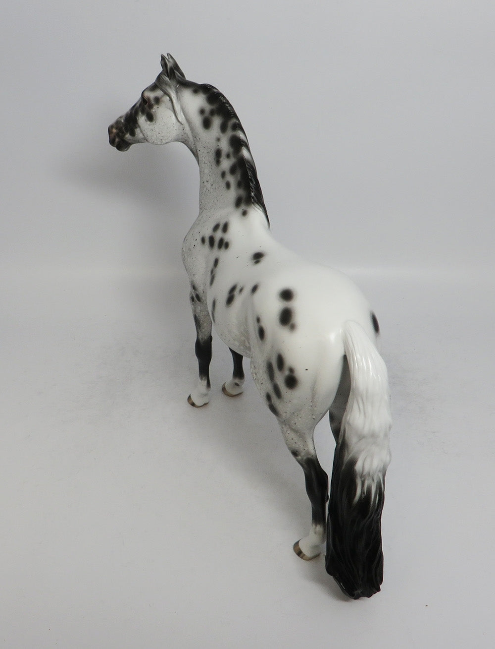 OKLAHOMA HELLO - OOAK BLACK APPALOOSA MORGAN MODEL HORSE BY SHERYL LEISURE SHCF2018