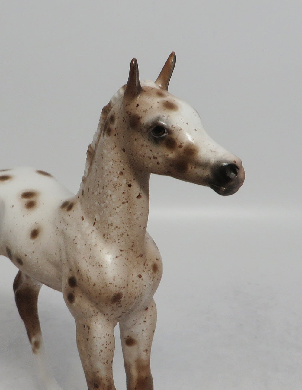 RANCHERS GAL - OOAK CHESTNUT APPALOOSA FOAL MODEL HORSE BY SHERYL LEISURE SHCF2018