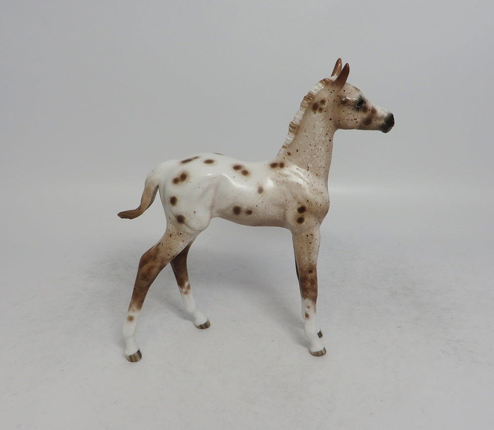 RANCHERS GAL - OOAK CHESTNUT APPALOOSA FOAL MODEL HORSE BY SHERYL LEISURE SHCF2018