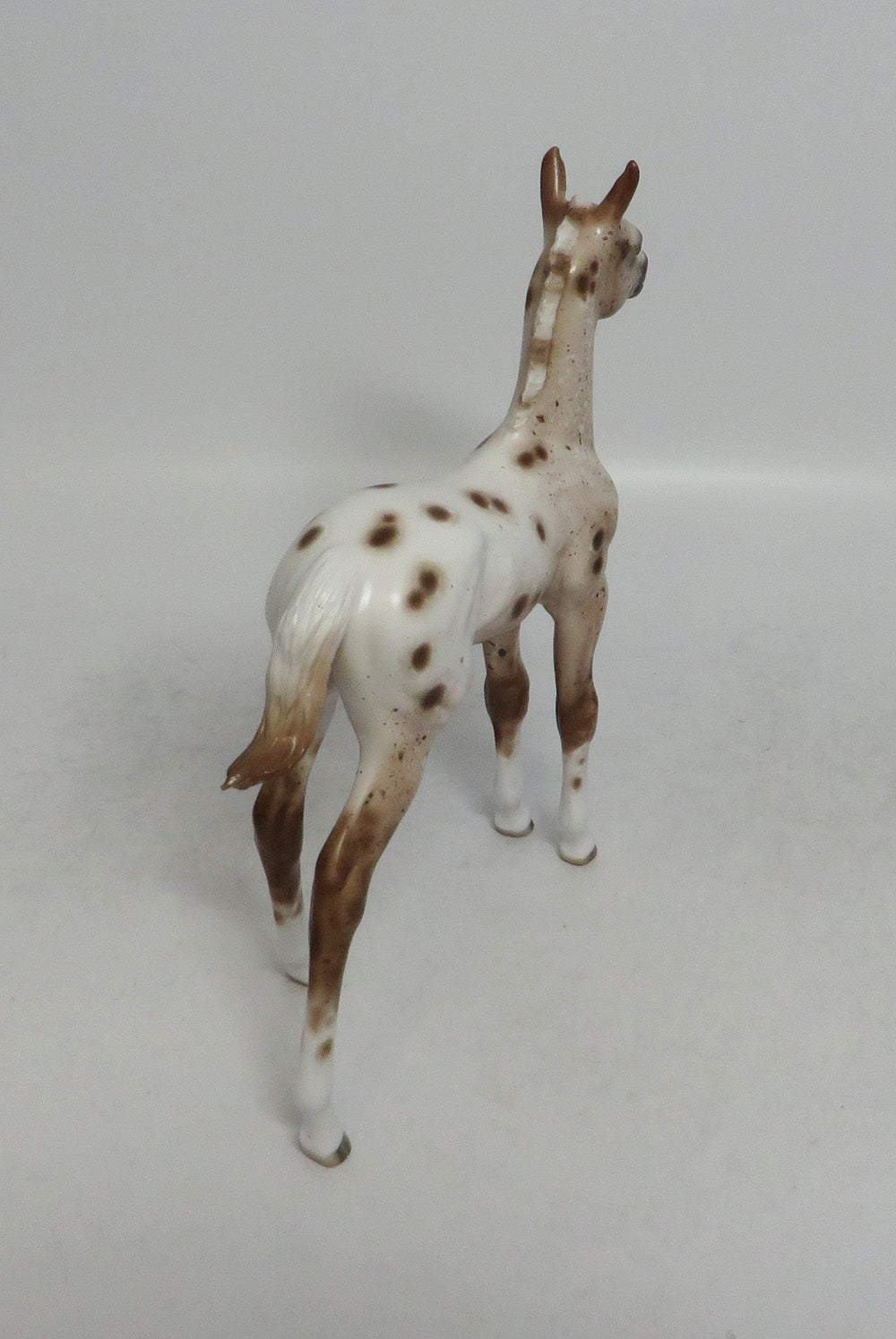 RANCHERS GAL - OOAK CHESTNUT APPALOOSA FOAL MODEL HORSE BY SHERYL LEISURE SHCF2018