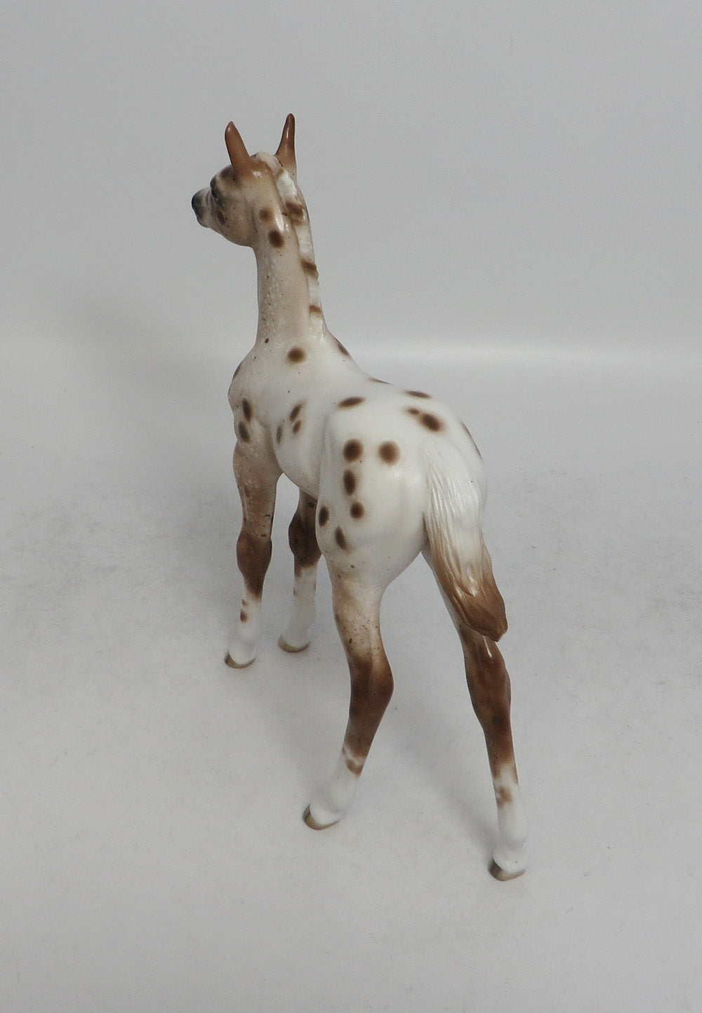 RANCHERS GAL - OOAK CHESTNUT APPALOOSA FOAL MODEL HORSE BY SHERYL LEISURE SHCF2018
