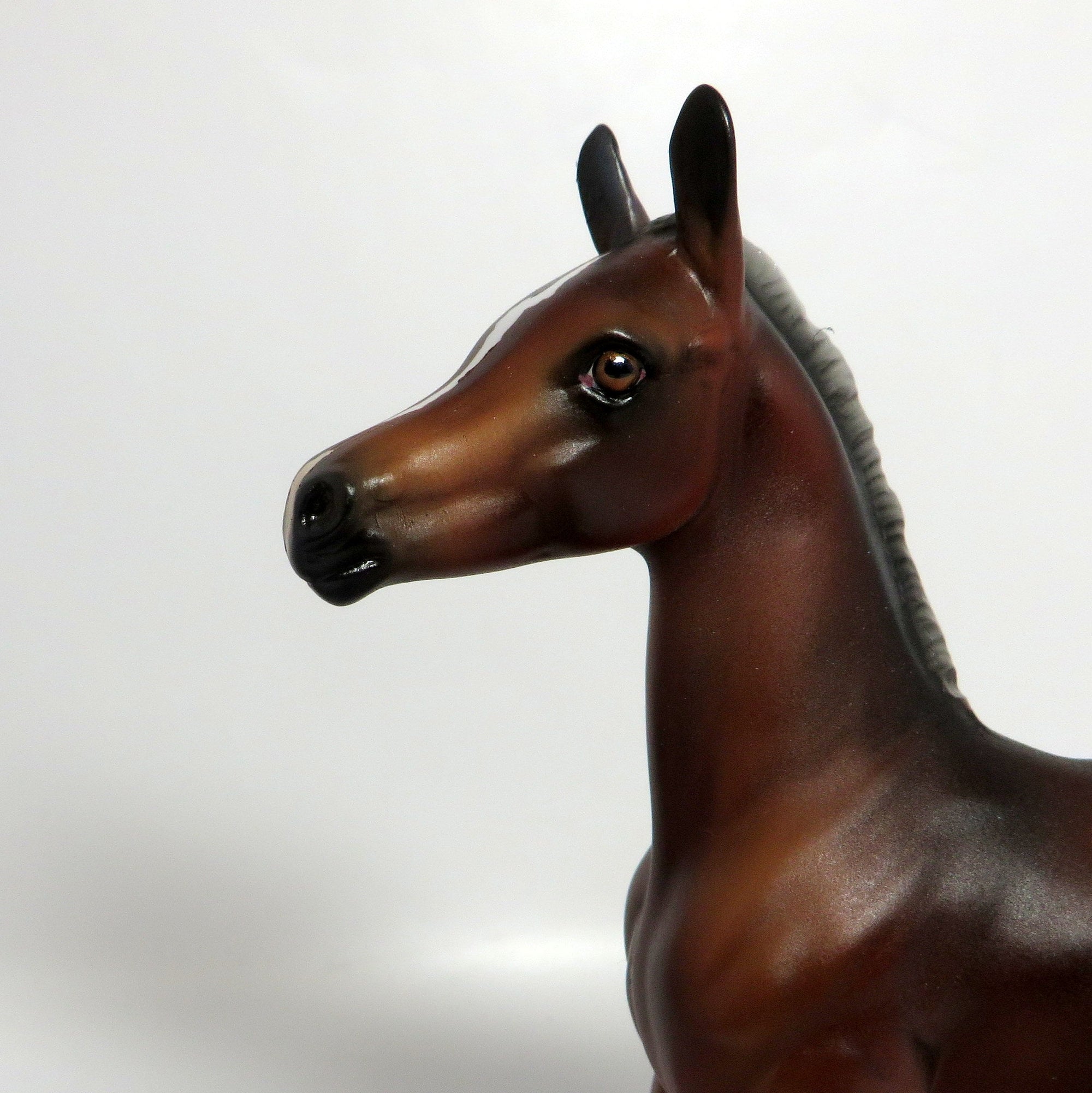 POKEY PIE-OOAK-SILVER BAY ARABIAN FOAL MODEL HORSE-1/10/2019
