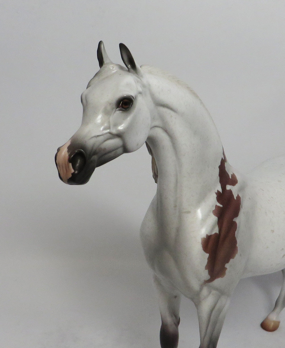 SHABBY SHEIK - LE15 BLOODY SHOULDER ARABIAN MODEL HORSE SHCF2018