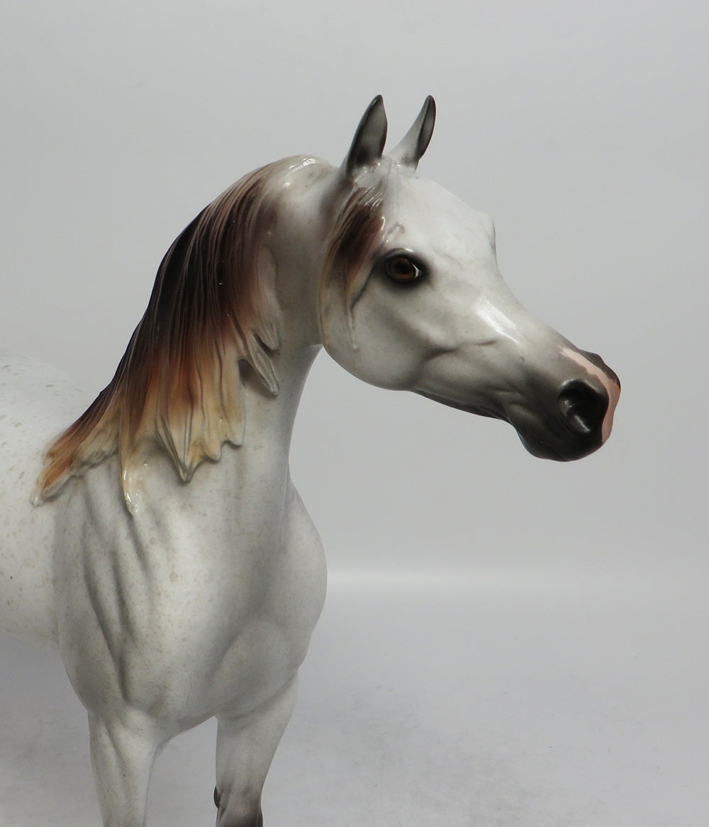 SHABBY SHEIK - LE15 BLOODY SHOULDER ARABIAN MODEL HORSE SHCF2018
