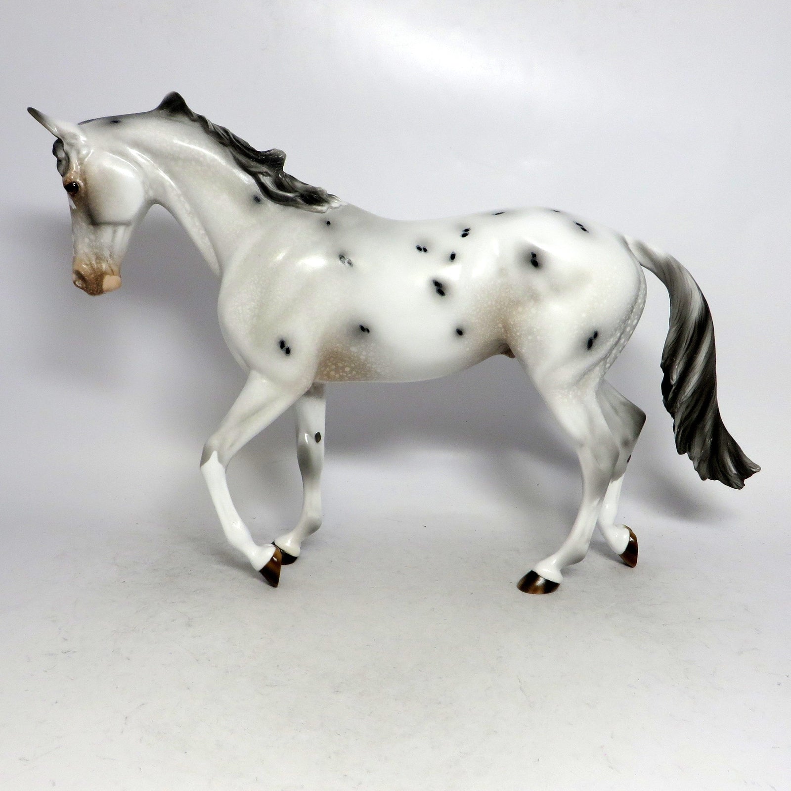 OREO TYPHOON-OOAK-FEW SPOTS APPALOOSA THOROUGHBRED MODEL HORSE- 1/10/19