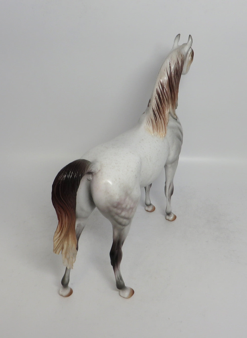 SHABBY SHEIK - LE15 BLOODY SHOULDER ARABIAN MODEL HORSE SHCF2018