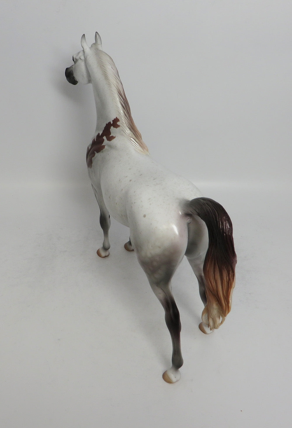 SHABBY SHEIK - LE15 BLOODY SHOULDER ARABIAN MODEL HORSE SHCF2018