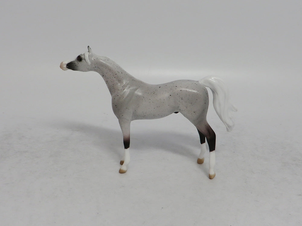 YEEHAW - OOAK FLEA BITTEN GREY ARABIAN CHIP SHCF2018