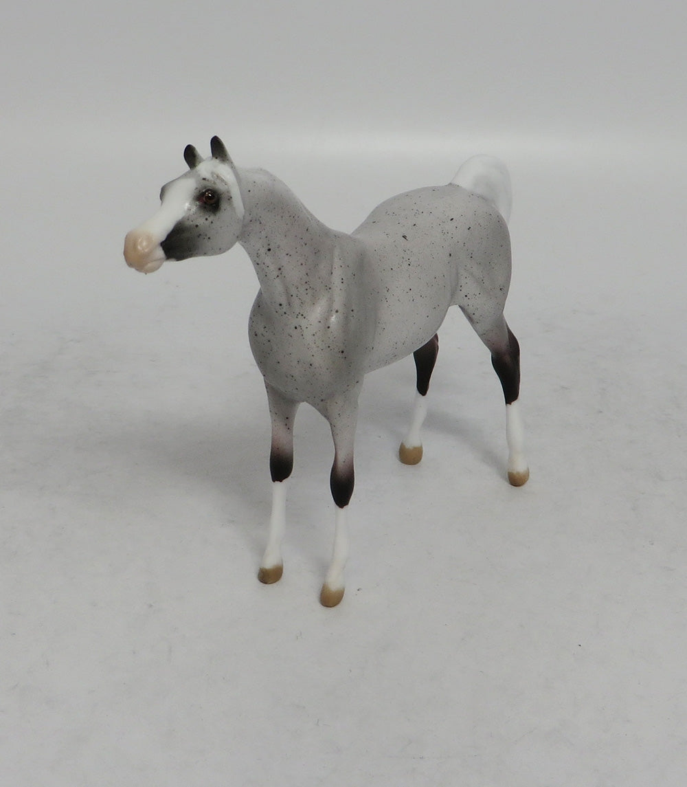 YEEHAW - OOAK FLEA BITTEN GREY ARABIAN CHIP SHCF2018