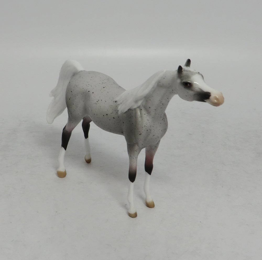 YEEHAW - OOAK FLEA BITTEN GREY ARABIAN CHIP SHCF2018