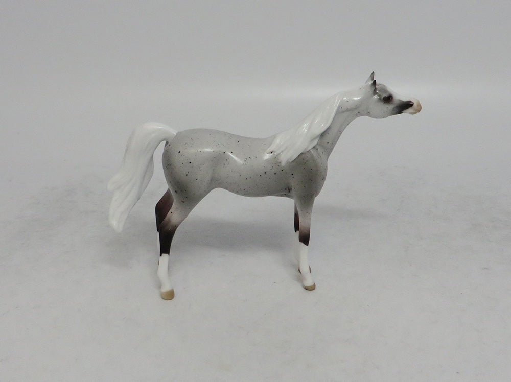 YEEHAW - OOAK FLEA BITTEN GREY ARABIAN CHIP SHCF2018