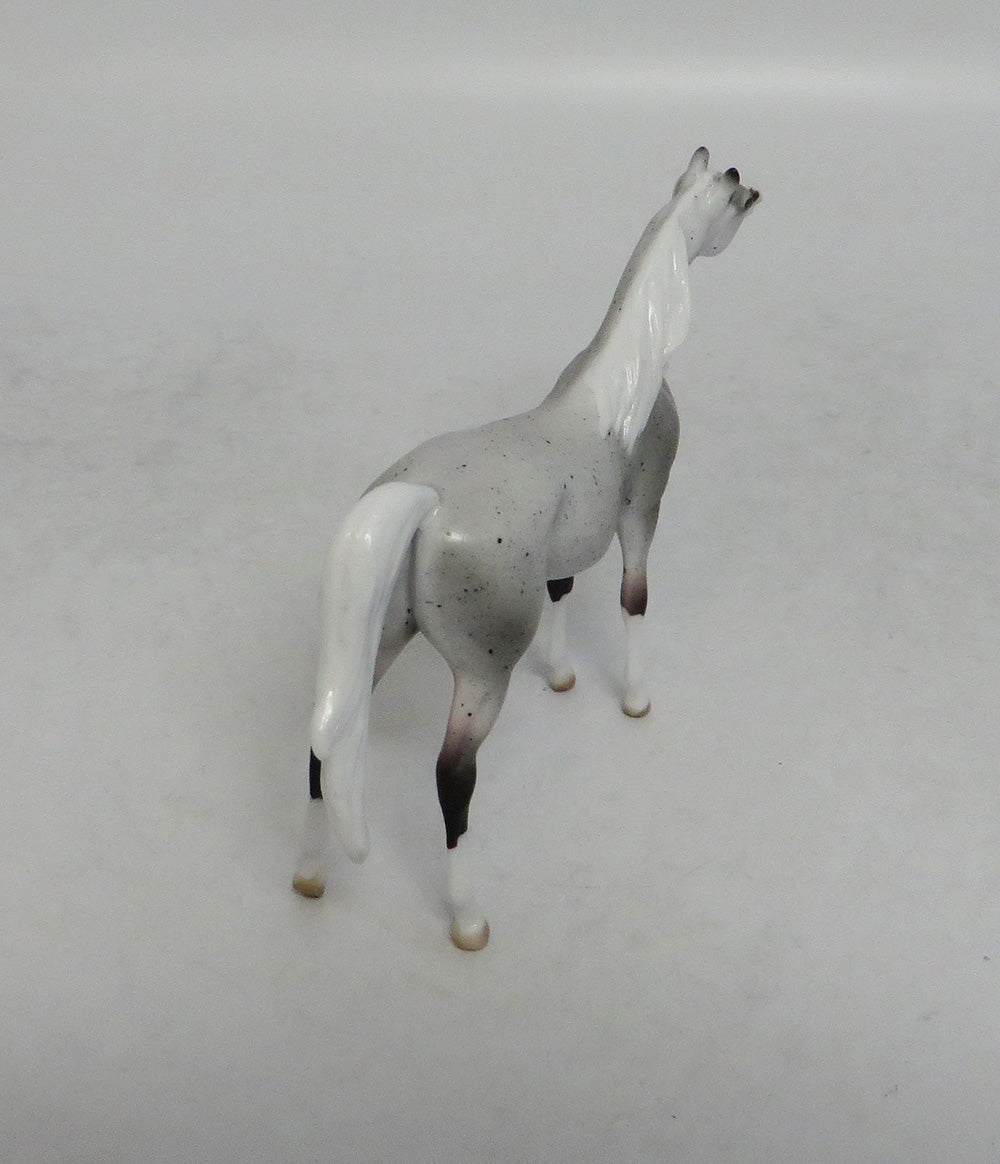 YEEHAW - OOAK FLEA BITTEN GREY ARABIAN CHIP SHCF2018