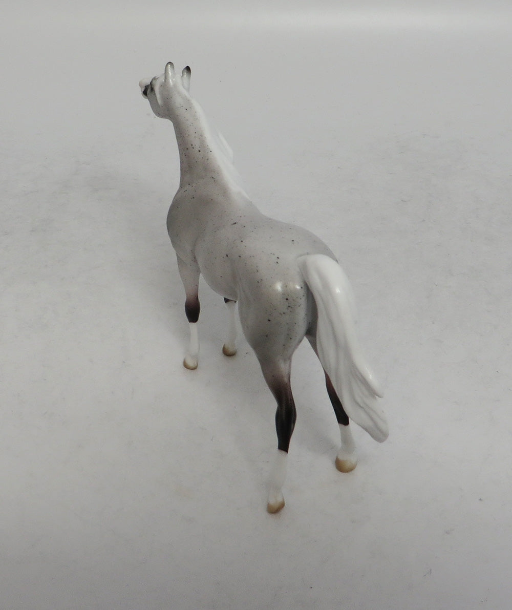 YEEHAW - OOAK FLEA BITTEN GREY ARABIAN CHIP SHCF2018