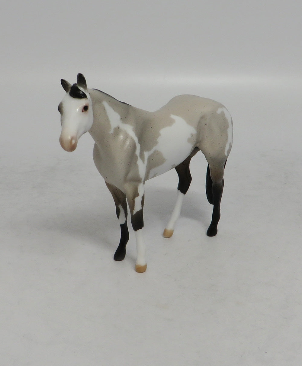 BURLAP - LE14 BLUE ROAN PINTO STOCK CHIP SHCF2018