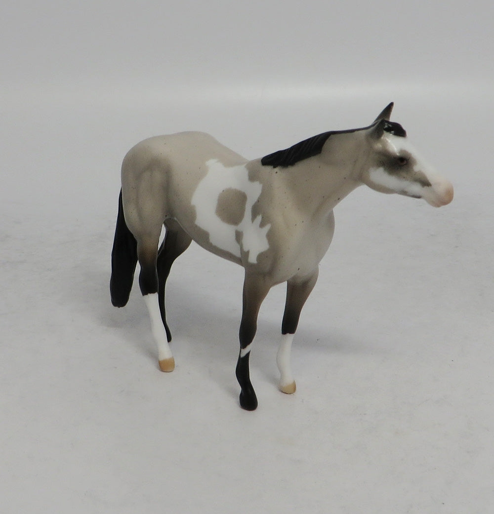 BURLAP - LE14 BLUE ROAN PINTO STOCK CHIP SHCF2018