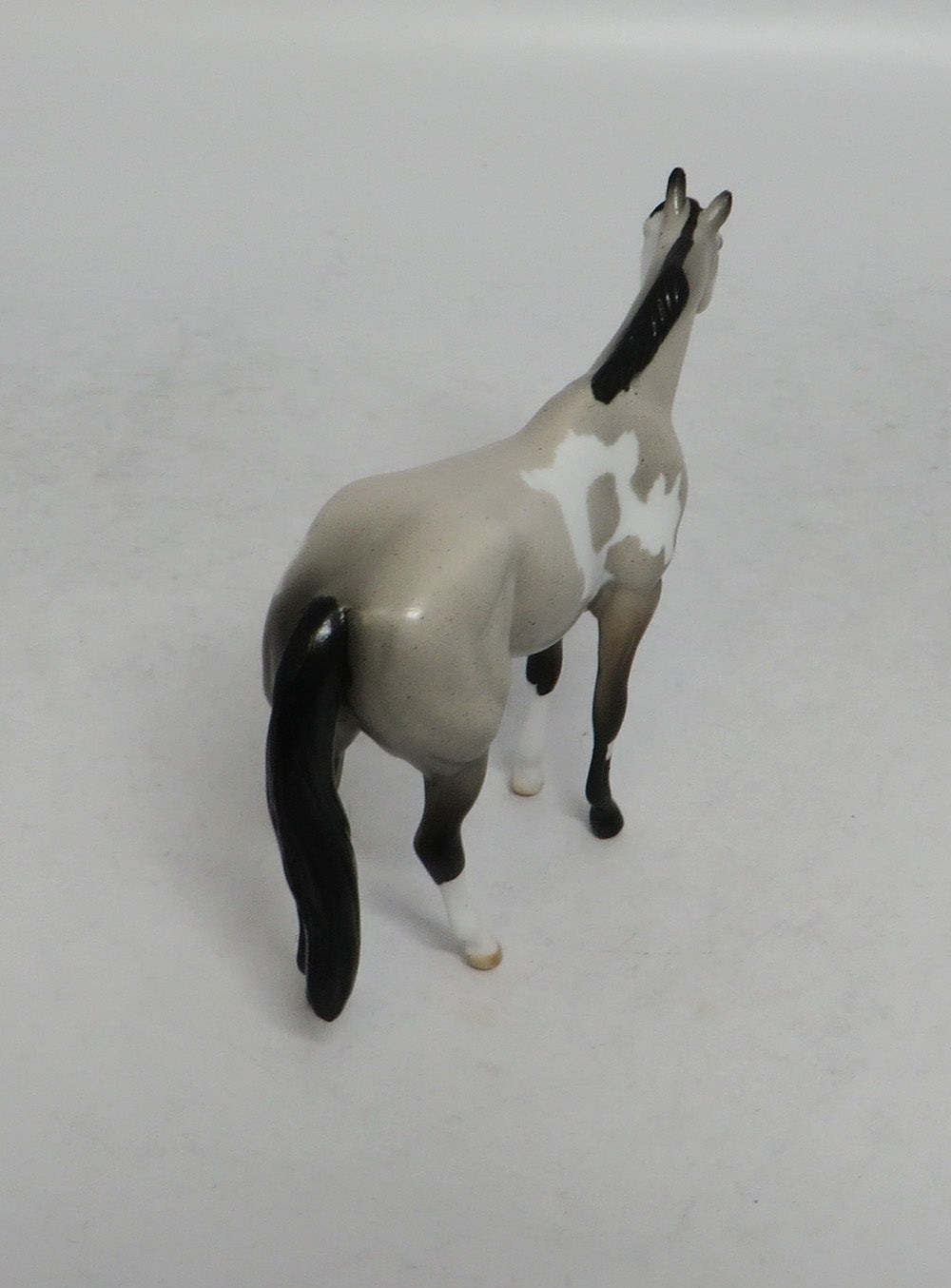 BURLAP - LE14 BLUE ROAN PINTO STOCK CHIP SHCF2018