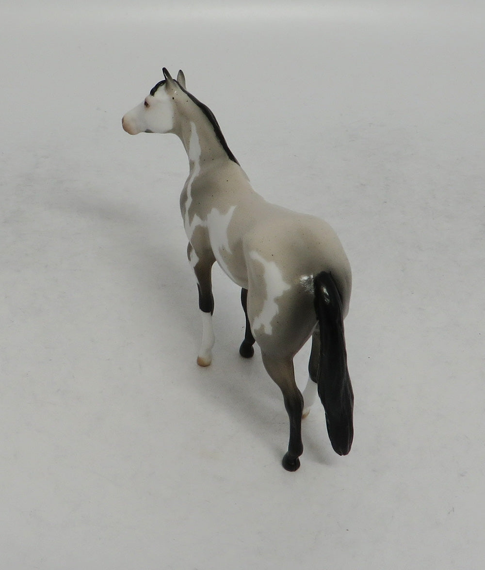 BURLAP - LE14 BLUE ROAN PINTO STOCK CHIP SHCF2018