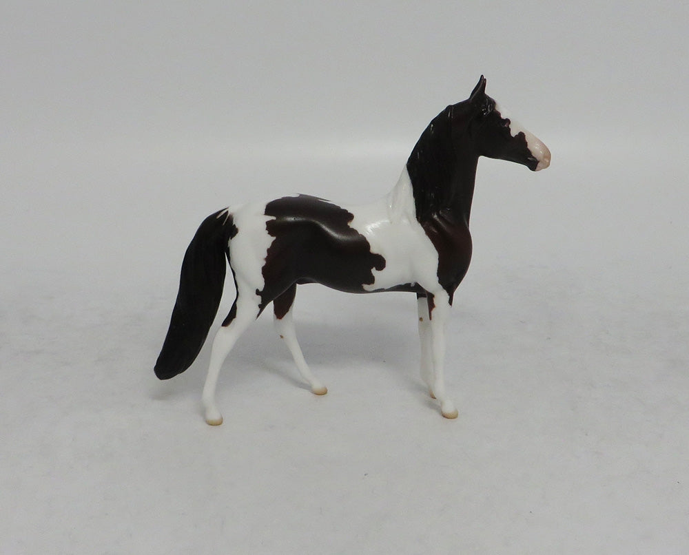 GIDDY UP - LE15 BAY PINTO MORGAN CHIP SHCF2018