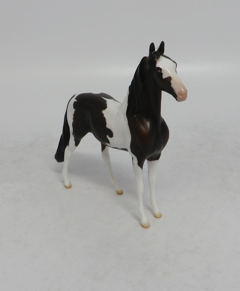 GIDDY UP - LE15 BAY PINTO MORGAN CHIP SHCF2018