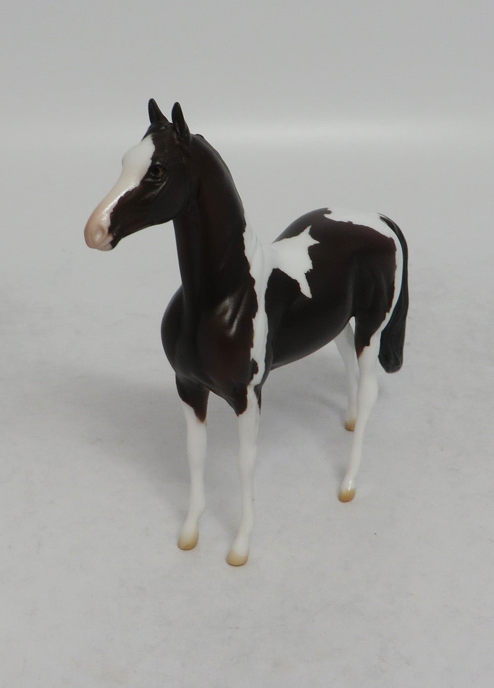 GIDDY UP - LE15 BAY PINTO MORGAN CHIP SHCF2018