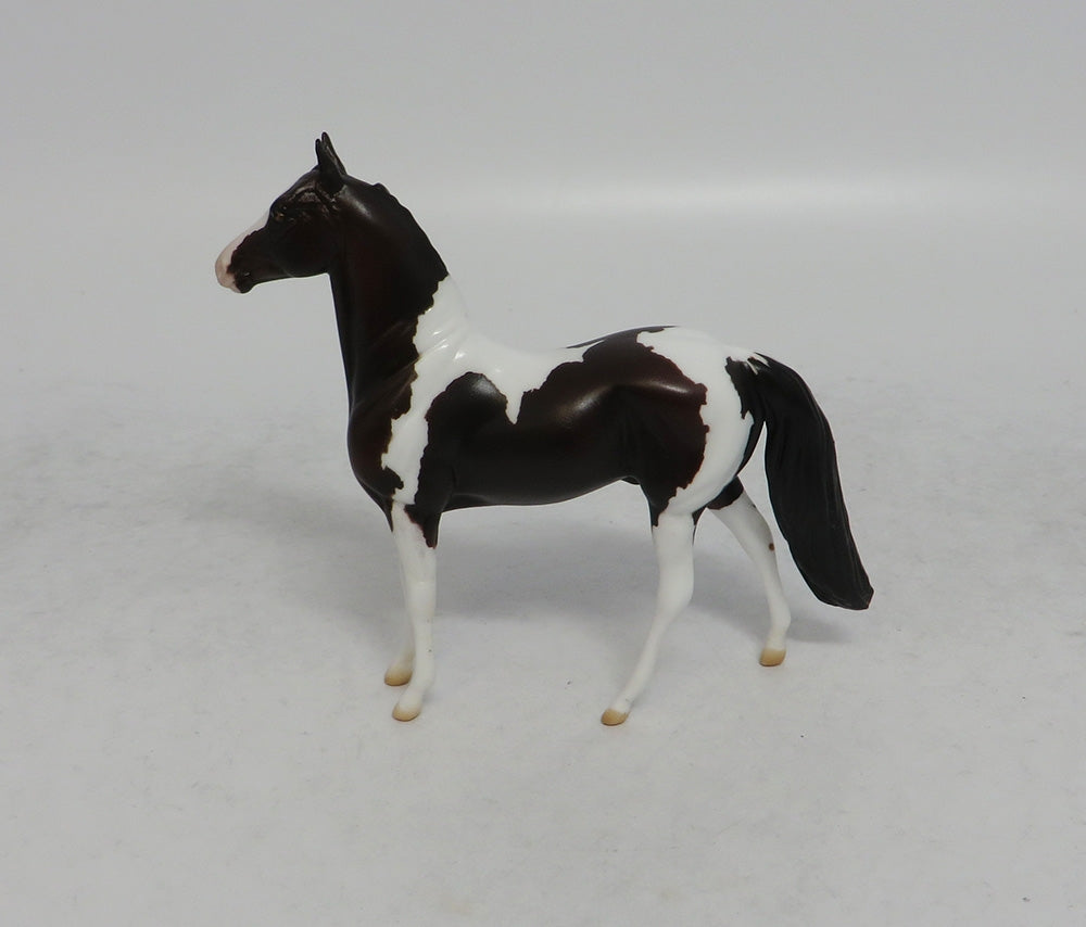 GIDDY UP - LE15 BAY PINTO MORGAN CHIP SHCF2018