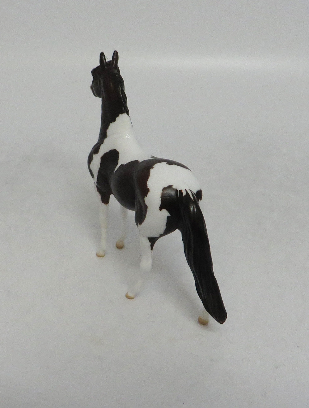 GIDDY UP - LE15 BAY PINTO MORGAN CHIP SHCF2018