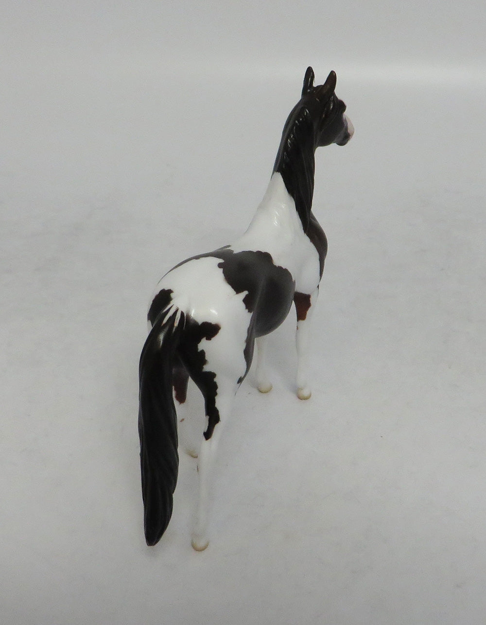 GIDDY UP - LE15 BAY PINTO MORGAN CHIP SHCF2018