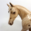 WIPEOUT-OOAK-CHESTNUT APPALOOSA PONY MODEL HORSE-1/11/19