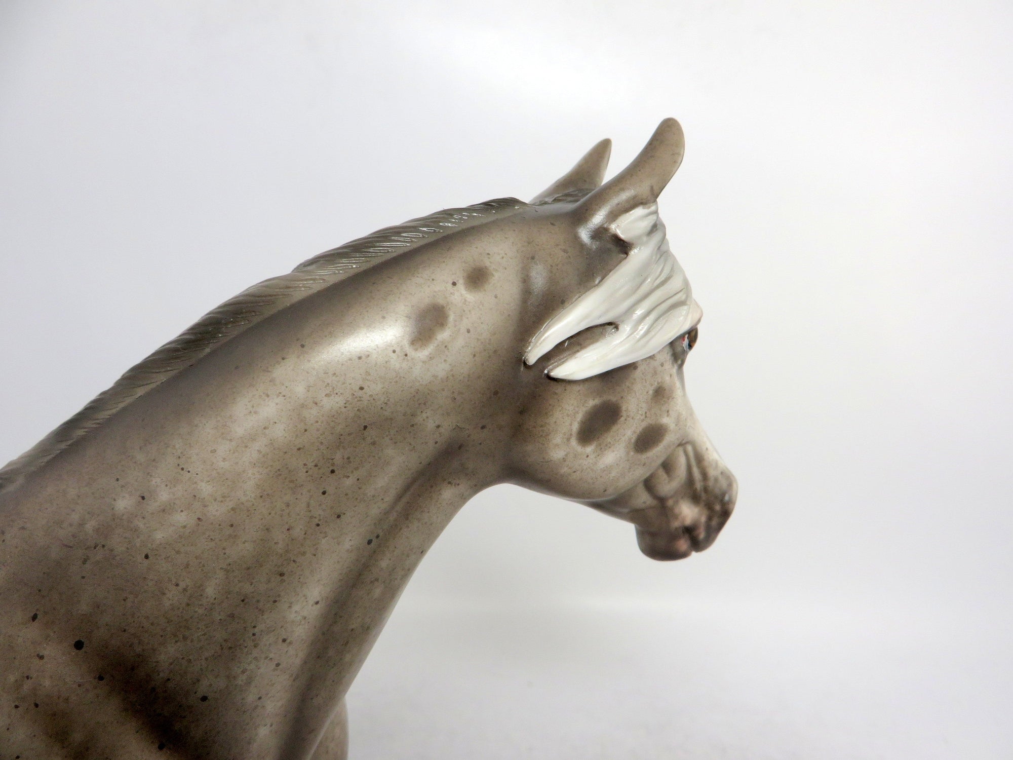 appaloosa model horse