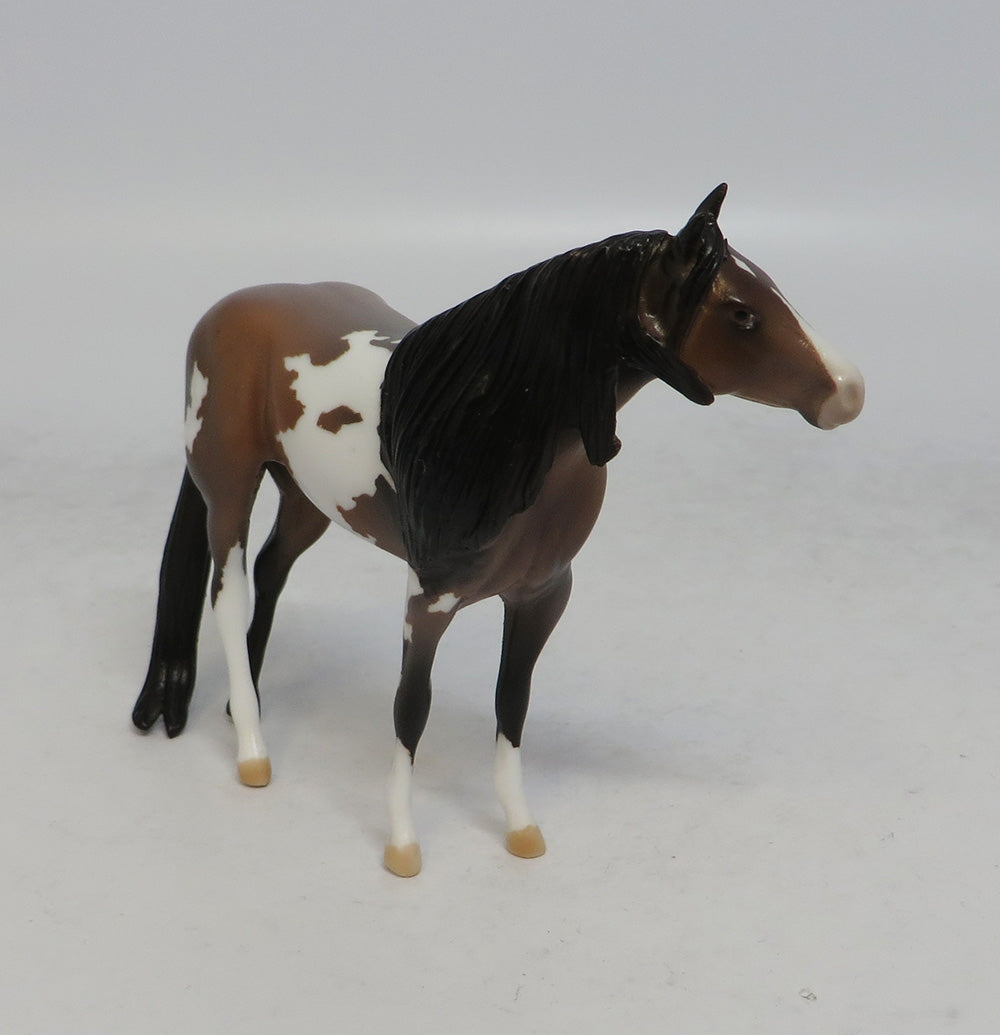 SAGEBRUSH - LE6 BAY ROAN PINTO STOCK CHIP SHCF2018