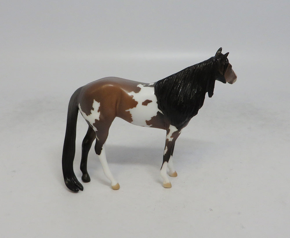 SAGEBRUSH - LE6 BAY ROAN PINTO STOCK CHIP SHCF2018