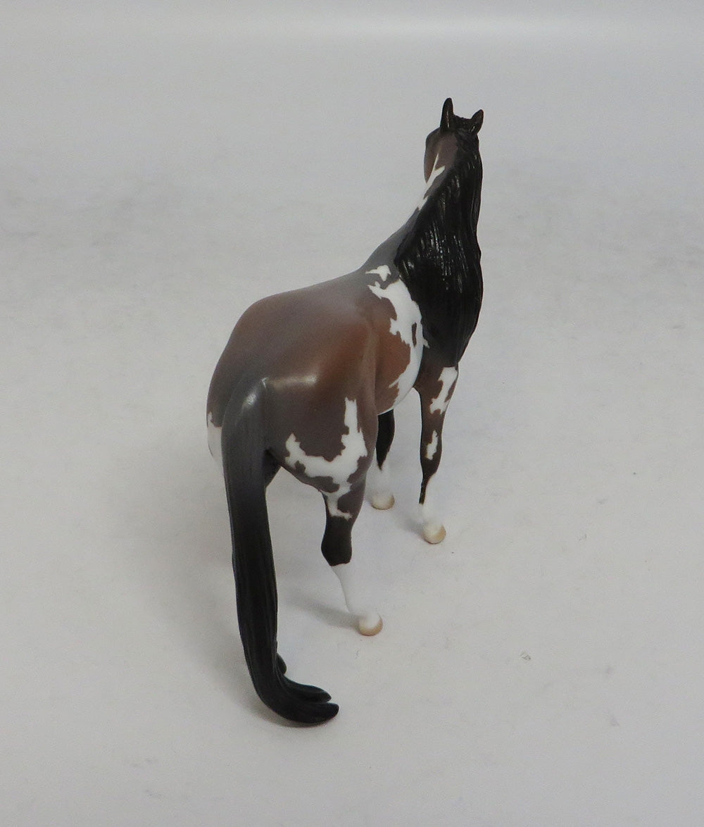 SAGEBRUSH - LE6 BAY ROAN PINTO STOCK CHIP SHCF2018