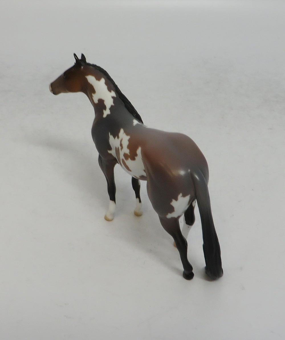 SAGEBRUSH - LE6 BAY ROAN PINTO STOCK CHIP SHCF2018