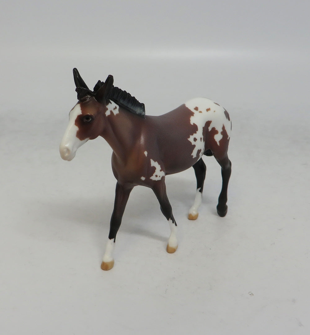 DOTTIE WEST - LE9 BAY APPALOOSA MULE CHIP SHCF2018