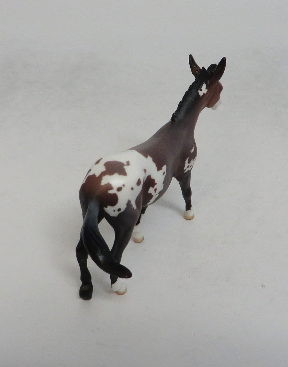 DOTTIE WEST - LE9 BAY APPALOOSA MULE CHIP SHCF2018