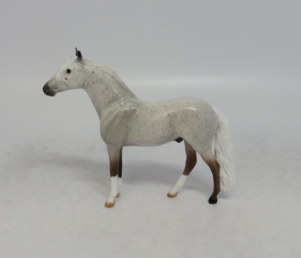 THUNDER STORM - OOAK FLEA BITTEN GREY ANDALUSIAN CHIP SHCF2018