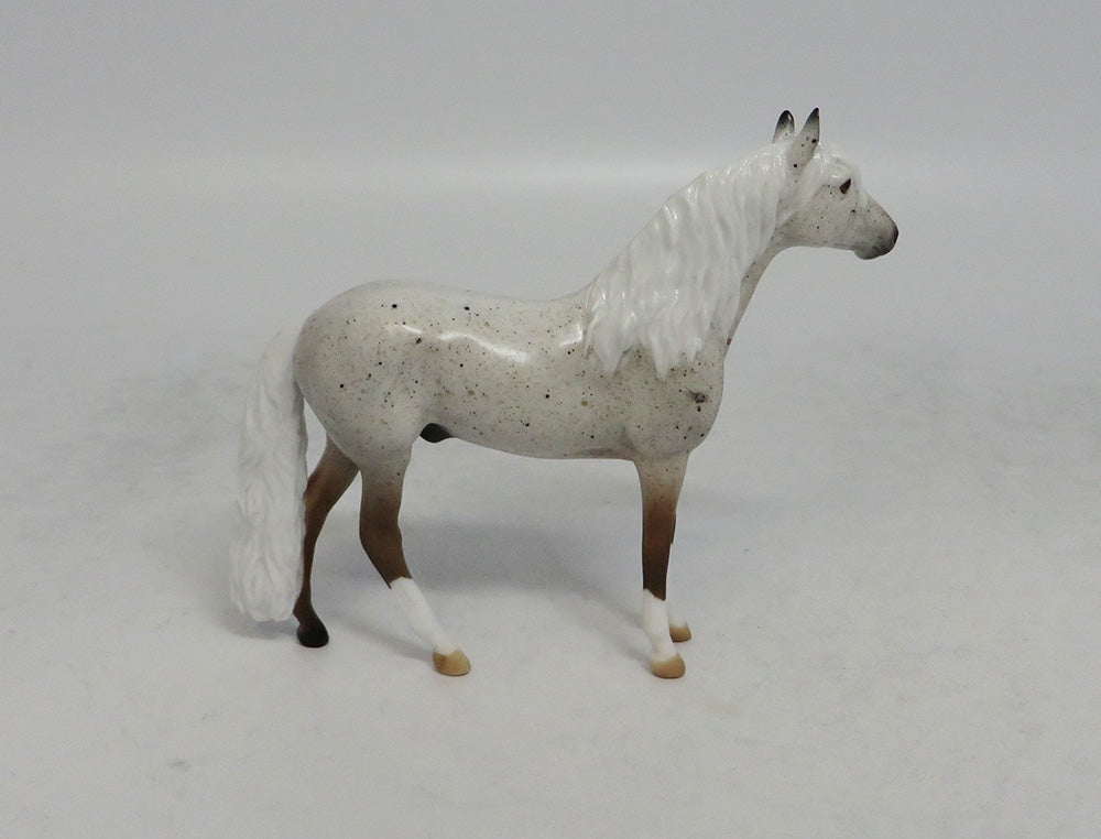 THUNDER STORM - OOAK FLEA BITTEN GREY ANDALUSIAN CHIP SHCF2018